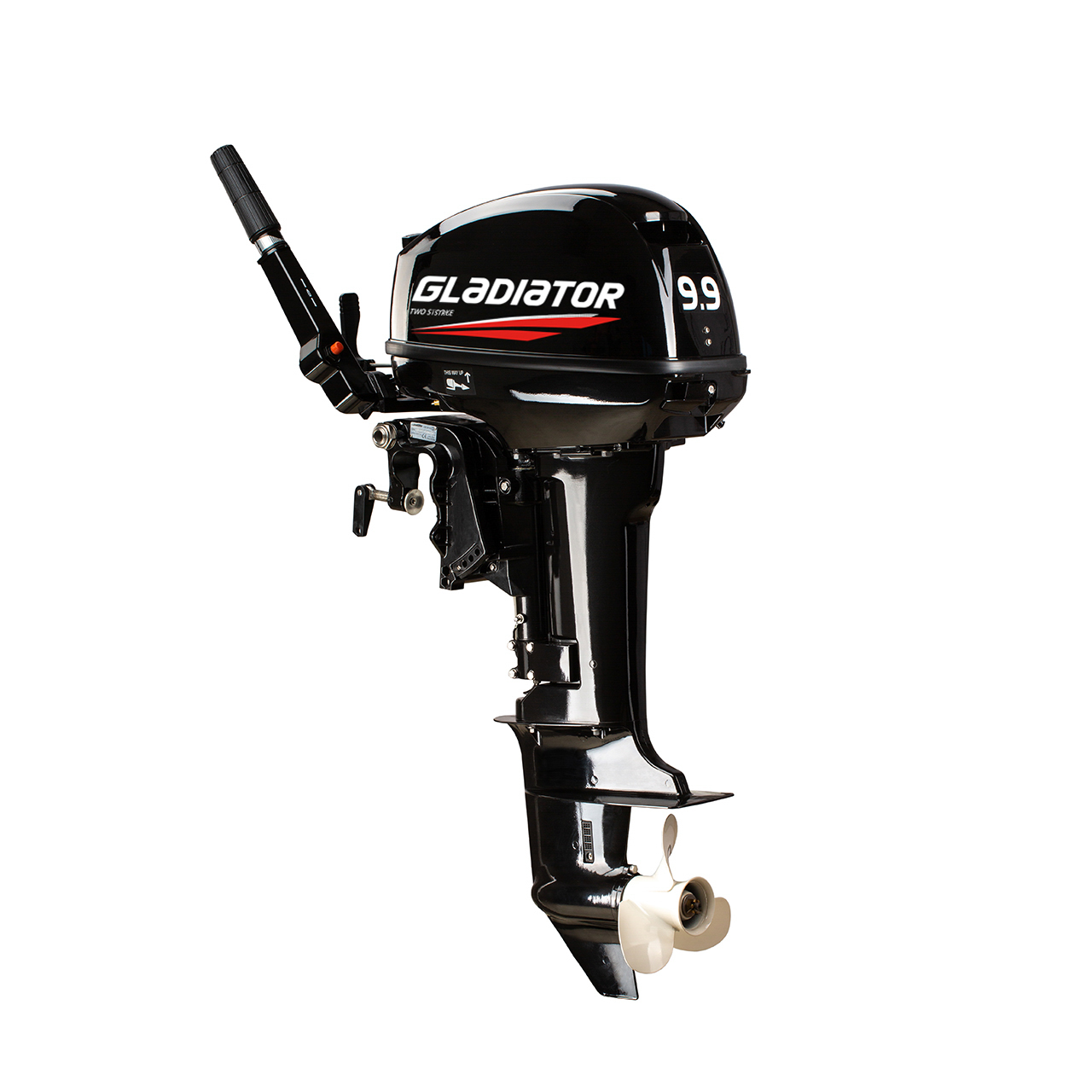 ЛОДОЧНЫЙ МОТОР GLADIATOR G9.9FHS в Иваново