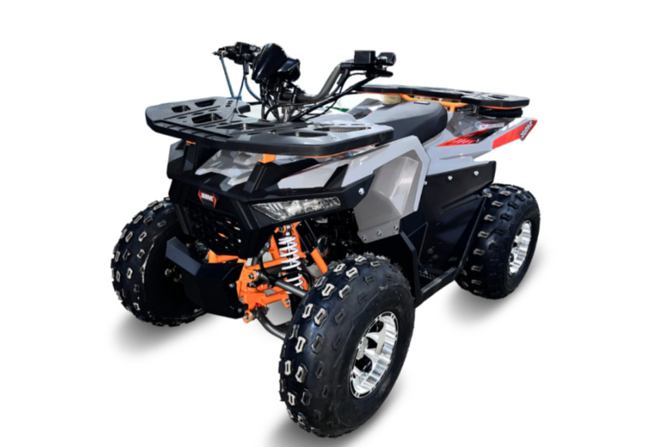 Квадроцикл GBM DAXTER 220 NEW PREMIUM в Иваново