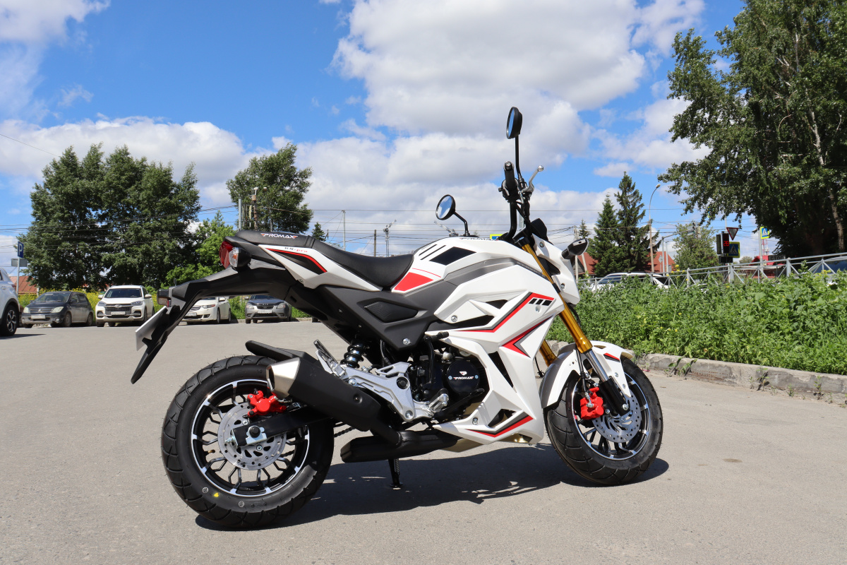 Мотоцикл PROMAX STRYKER 200(49) 2.0 в Иваново