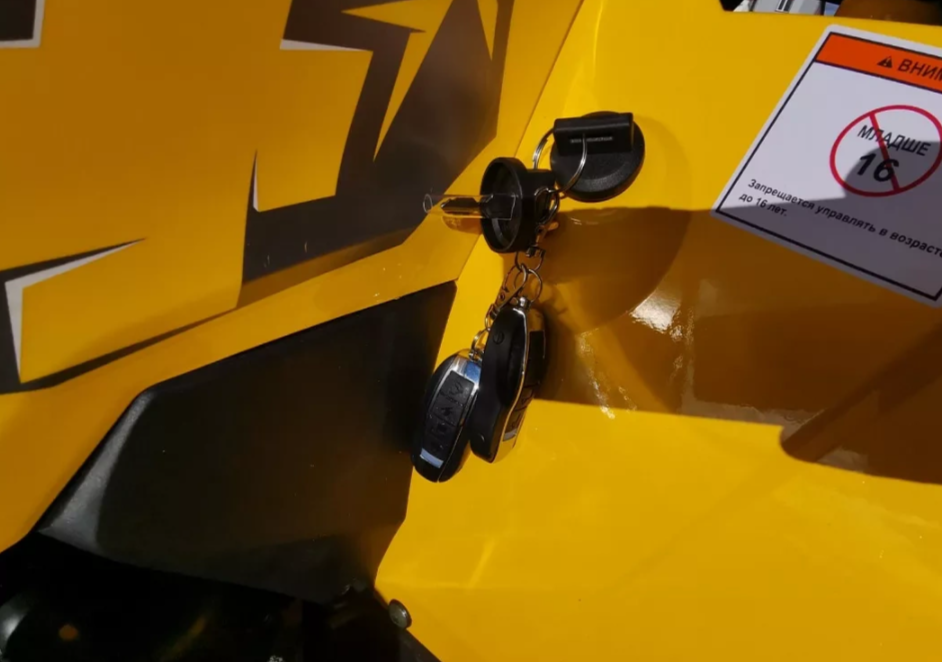 Квадроцикл MOTOLAND (МОТОЛЕНД) VOX200 WILD TRACK X PRO (баланс. вал) в Иваново