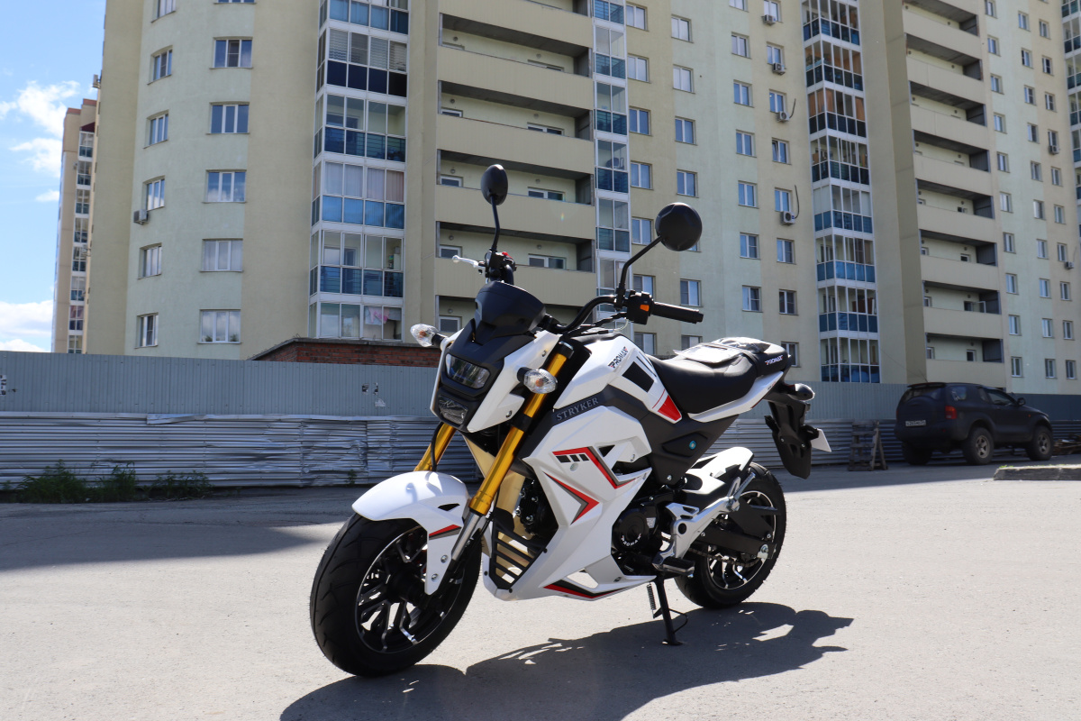 Мотоцикл PROMAX STRYKER 200(49) 2.0 в Иваново
