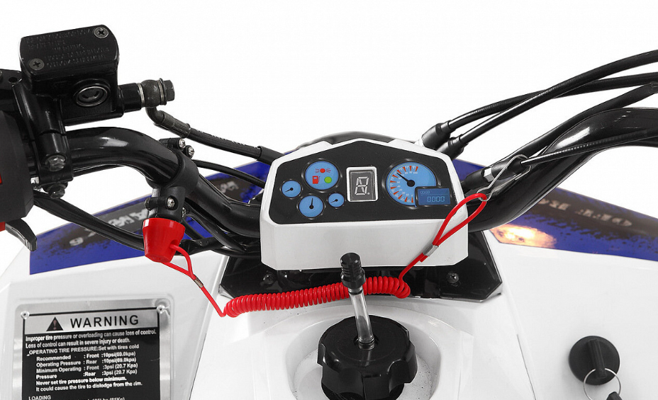 Квадроцикл Yacota Raposa 110 в Иваново