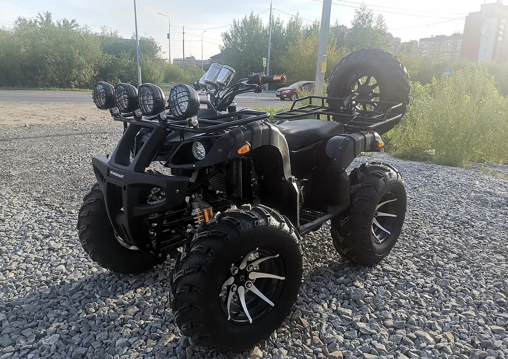 Квадроцикл PROMAX LEO 300 Max (кардан) в Иваново