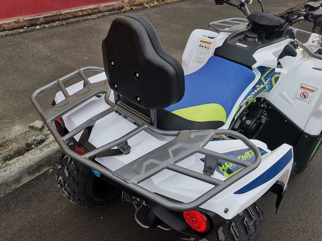 Квадроцикл PROMAX RENEGADE 280 LUX (2025) в Иваново