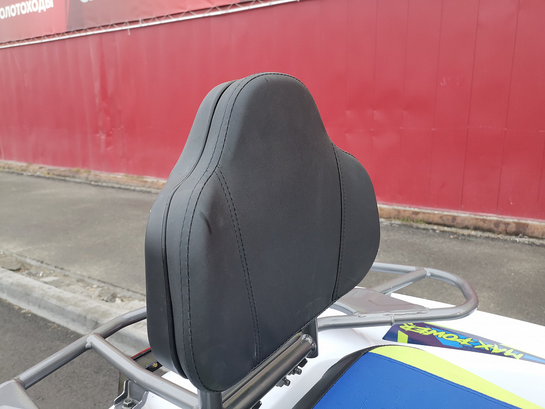 Квадроцикл PROMAX RENEGADE 280 LUX (2025) в Иваново