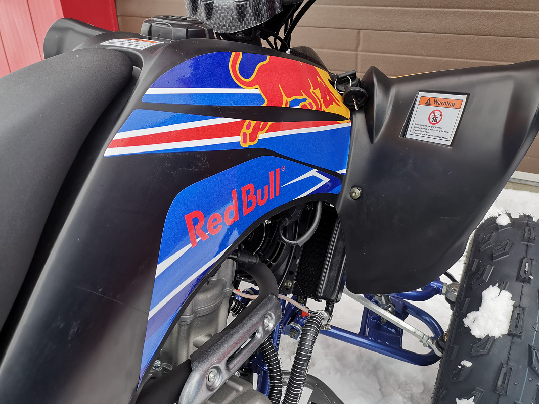 Квадроцикл PROMAX RAPTOR 300 NEW RedBull в Иваново