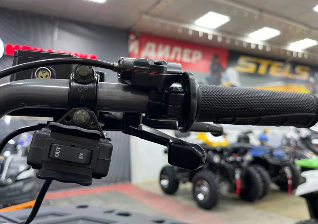 Квадроцикл PROMAX RENEGADE 300 LONG WINCH PRO (2025) в Иваново