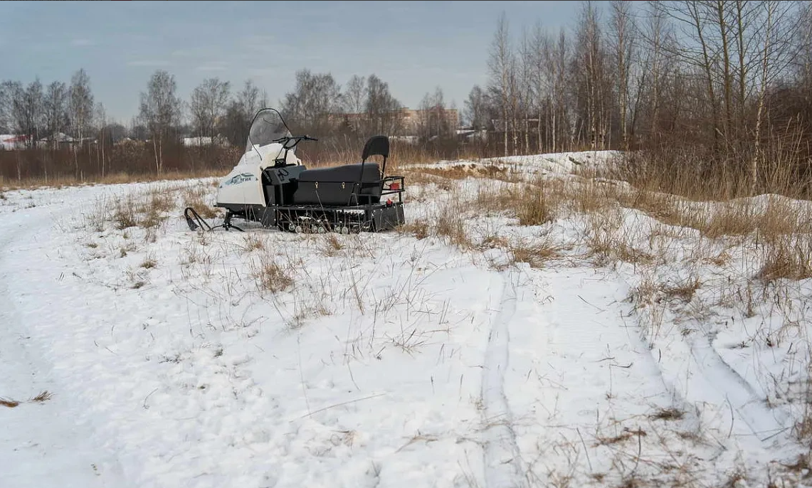 Снегоход БТС АРТИК 4Т /ЛОНГ/ 20 л.с. э/зап, реверс, тормоз в Иваново