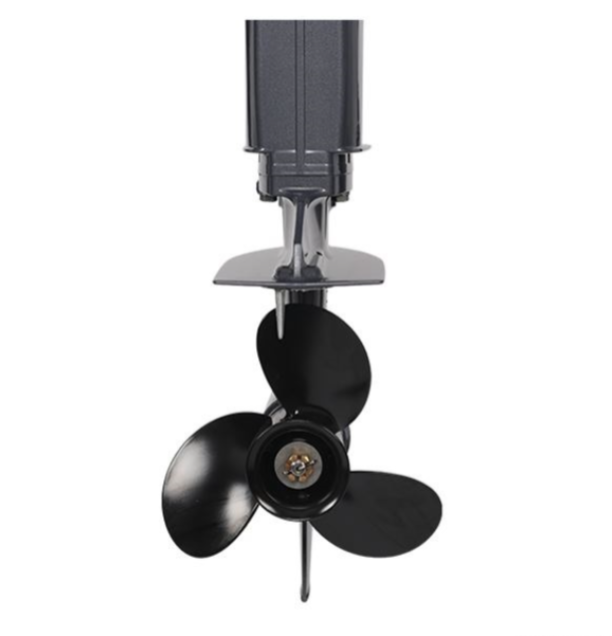 Лодочный мотор ALLFA CG Т40FW S в Иваново