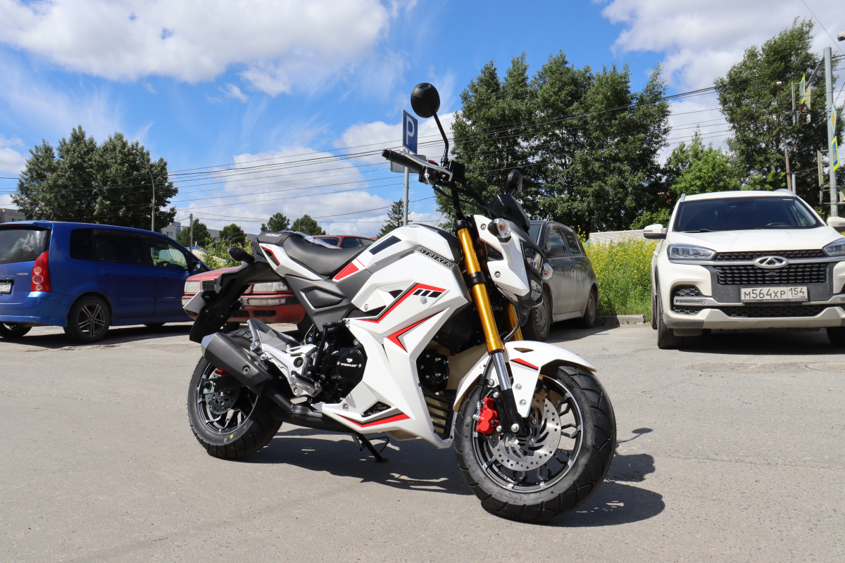 Мотоцикл PROMAX STRYKER 200(49) 2.0 в Иваново