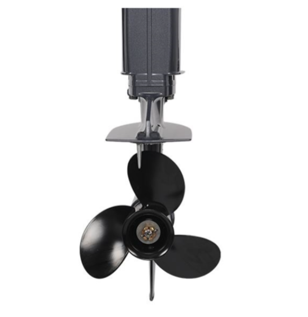 Лодочный мотор ALLFA CG Т40FWT S в Иваново