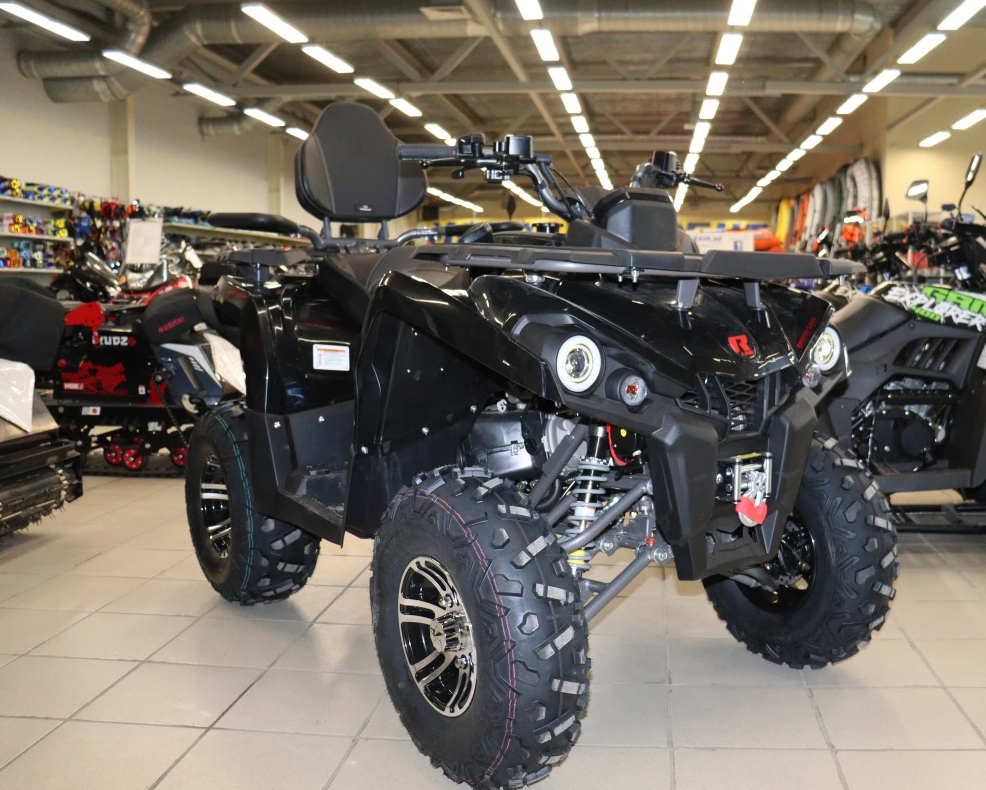 Квадроцикл PROMAX RENEGADE 300 LONG WINCH PRO (2025) в Иваново