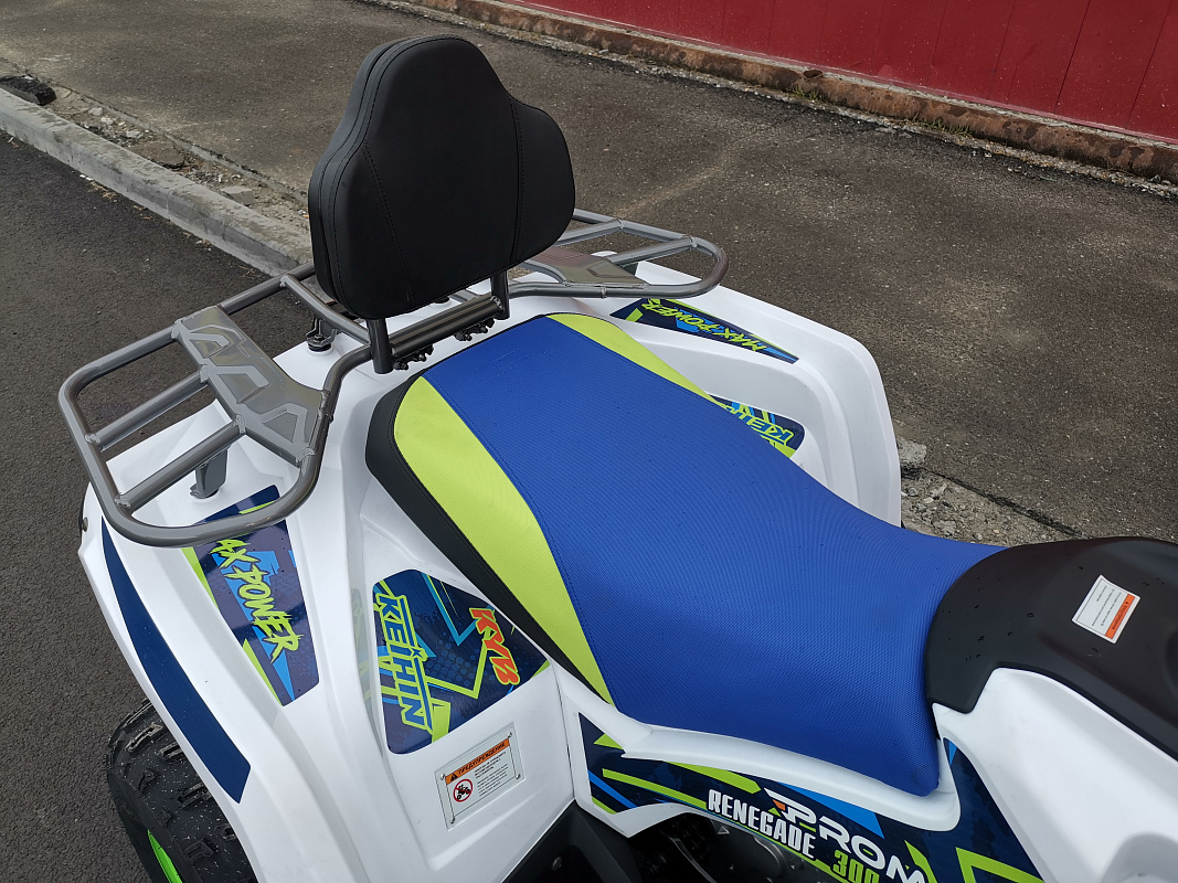 Квадроцикл PROMAX RENEGADE 280 LUX (2025) в Иваново