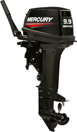 ЛОДОЧНЫЙ МОТОР MERCURY 9.9 MH TMC 247 CC в Иваново