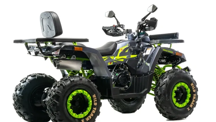 Квадроцикл MOTOLAND (МОТОЛЕНД) VOX200 WILD TRACK X WINCH (баланс. вал) в Иваново