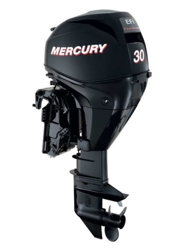 ЛОДОЧНЫЙ МОТОР MERCURY  F 30 ELH GA EFI в Иваново