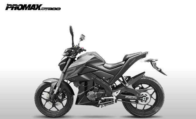 Мотоцикл PROMAX MT300 в Иваново