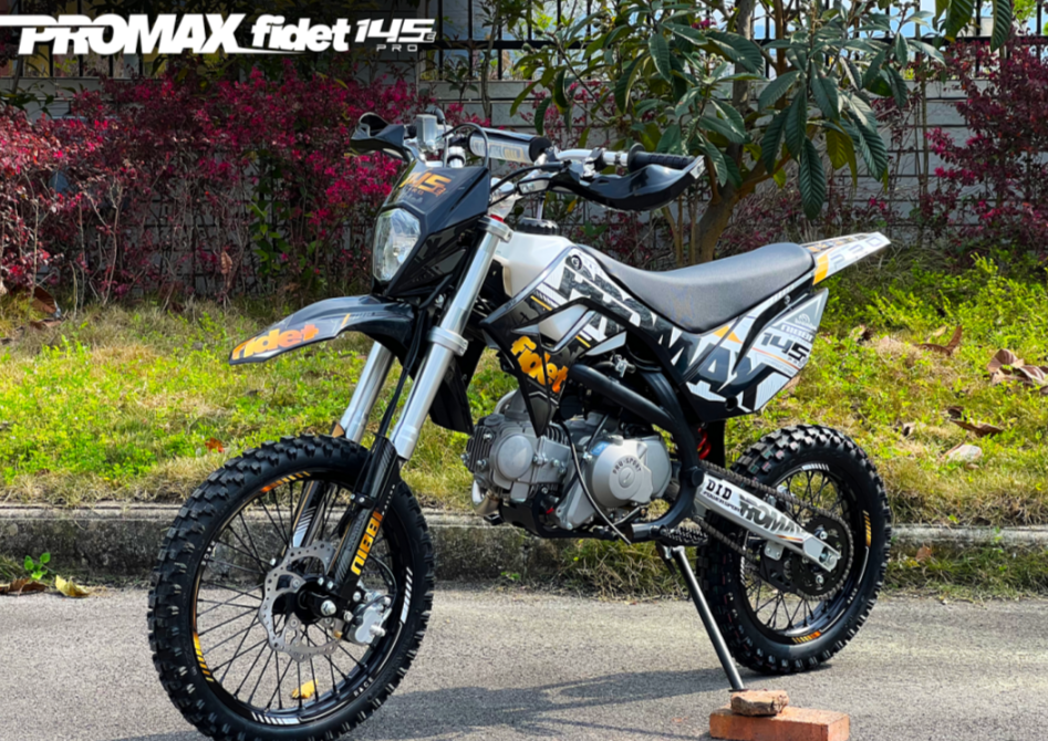 Мотоцикл (питбайк) PROMAX FIDET (ФАЙДЕТ) 145E PRO 17/14 в Иваново