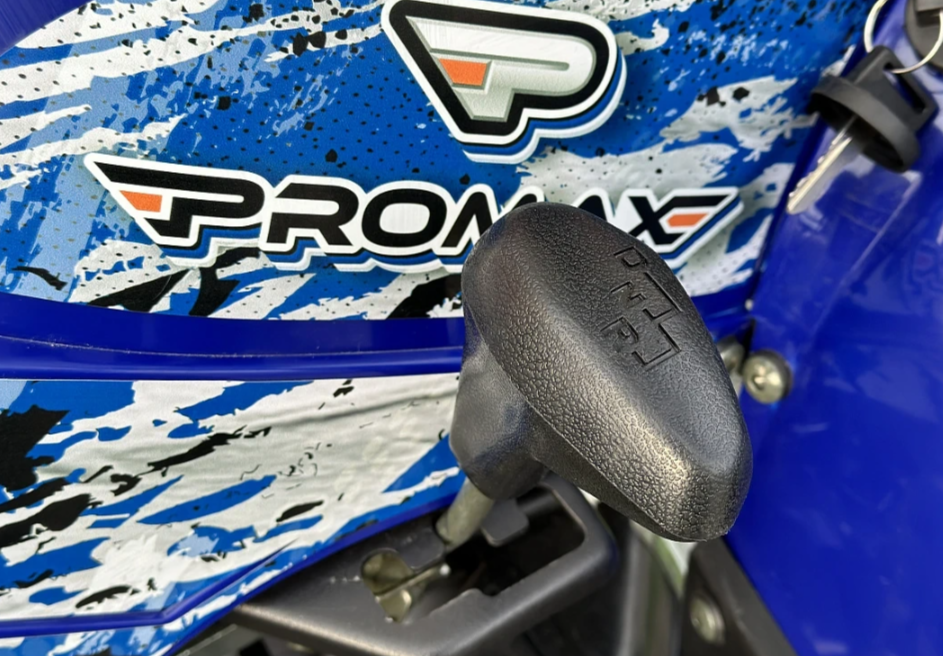  Квадроцикл PROMAX ATV 250 MAX (2025) в Иваново