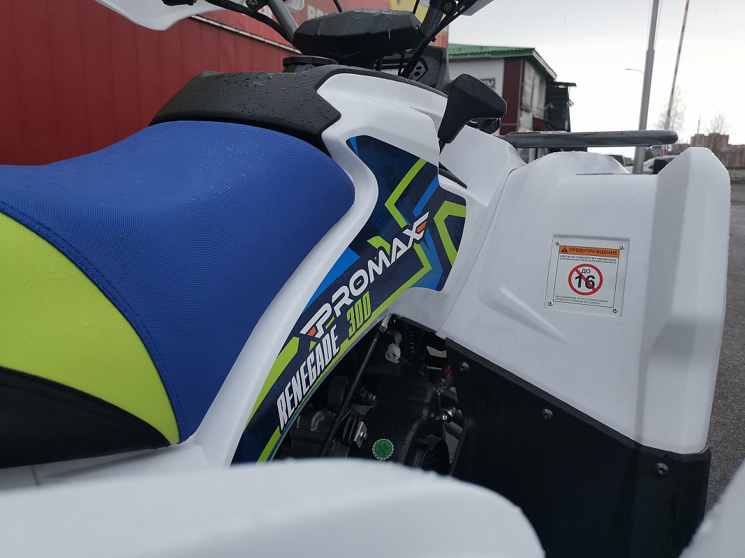 Квадроцикл PROMAX RENEGADE 280 LUX (2025) в Иваново