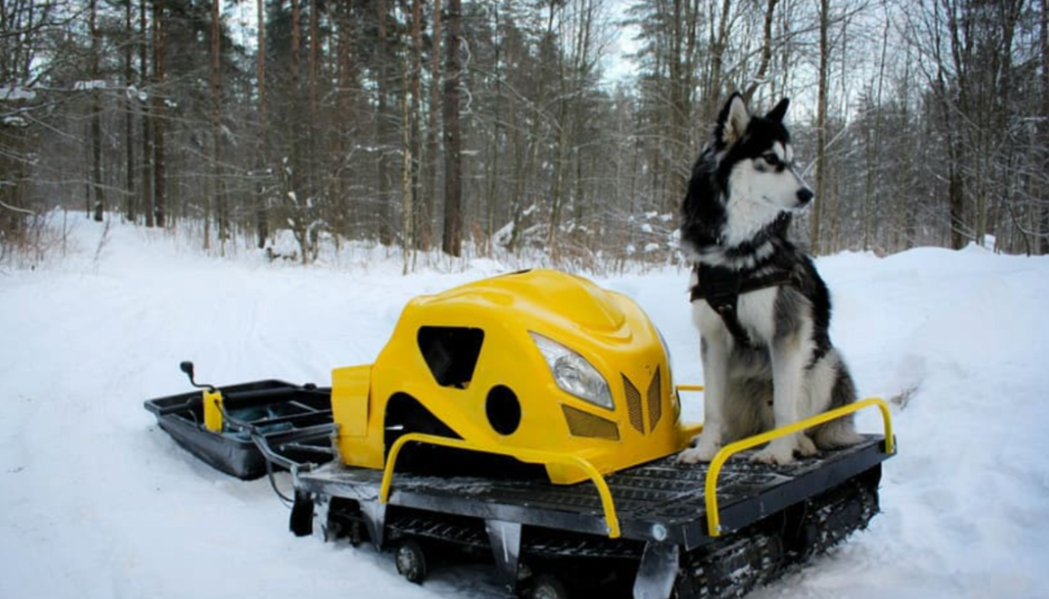 Мотобуксировщик LEBEDEV MOTORS ВОЛКОДАВ POWER V13 в Иваново