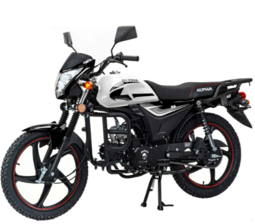 Мопед MOTOLAND (МОТОЛЕНД) Альфа RS 11 (LM48-B) в Иваново