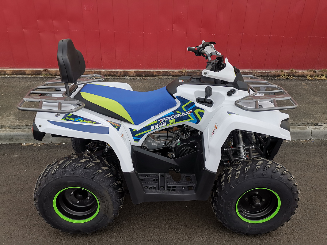 Квадроцикл PROMAX RENEGADE 280 LUX (2025) в Иваново