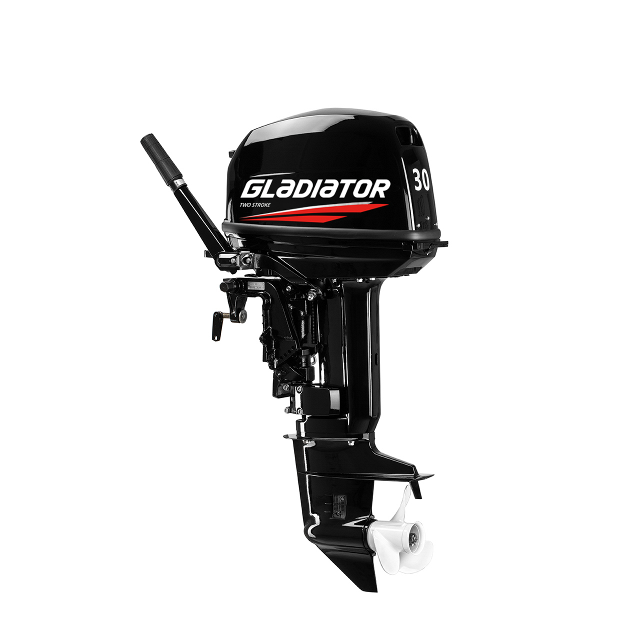 ЛОДОЧНЫЙ МОТОР GLADIATOR G30FHS в Иваново