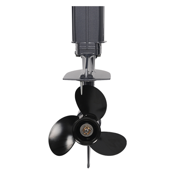 ЛОДОЧНЫЙ МОТОР ALLFA CG T30 FW S в Иваново