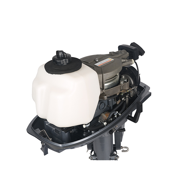 ЛОДОЧНЫЙ МОТОР ALLFA CG T5 в Иваново