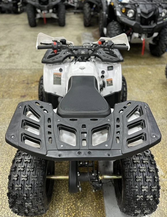 Квадроцикл PROMAX WILD 2.0 190 в Иваново