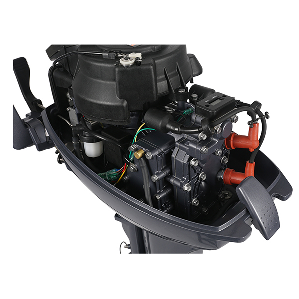 ЛОДОЧНЫЙ МОТОР ALLFA CG Т9,9 в Иваново