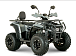 Квадроцикл YACOTA DRAGON LUX LD 150 PRO-SPORT в Иваново