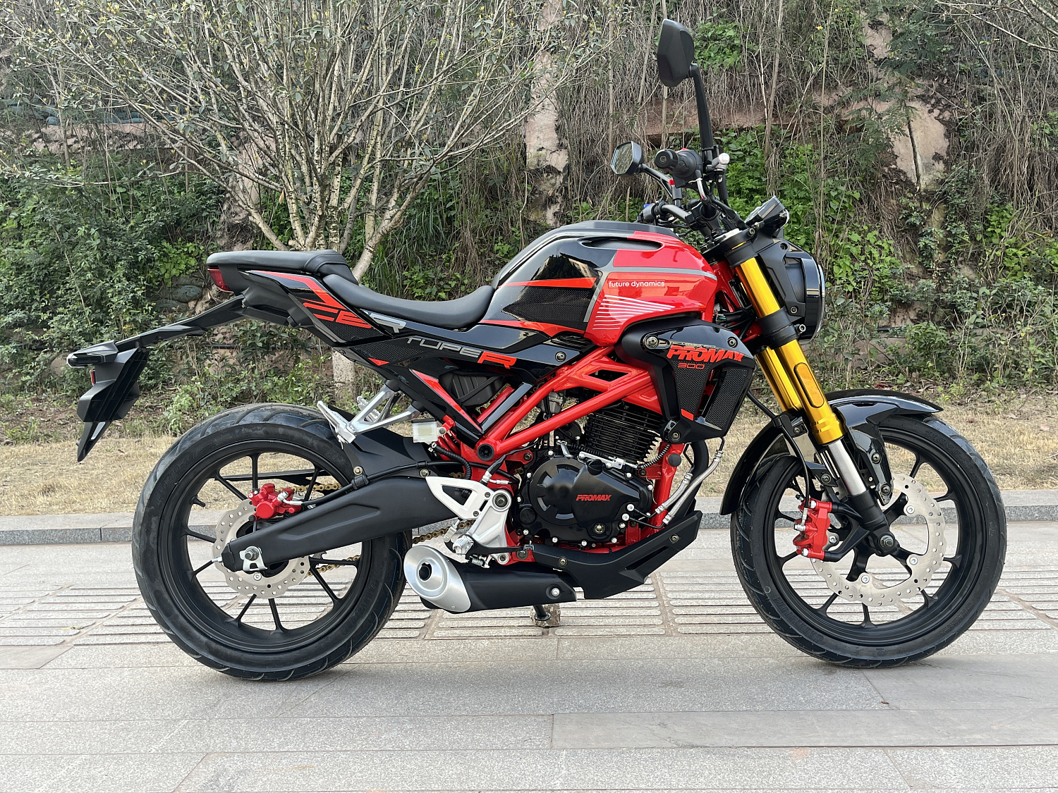 Мотоцикл PROMAX CB300 в Иваново