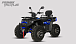 Квадроцикл PROMAX TAURUS 300 MAX-PRO LONG в Иваново