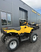 КВАДРОЦИКЛ IRBIS ATV 250  в Иваново