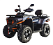 Квадроцикл MOTOLAND (МОТОЛЕНД) 300 MAX X в Иваново