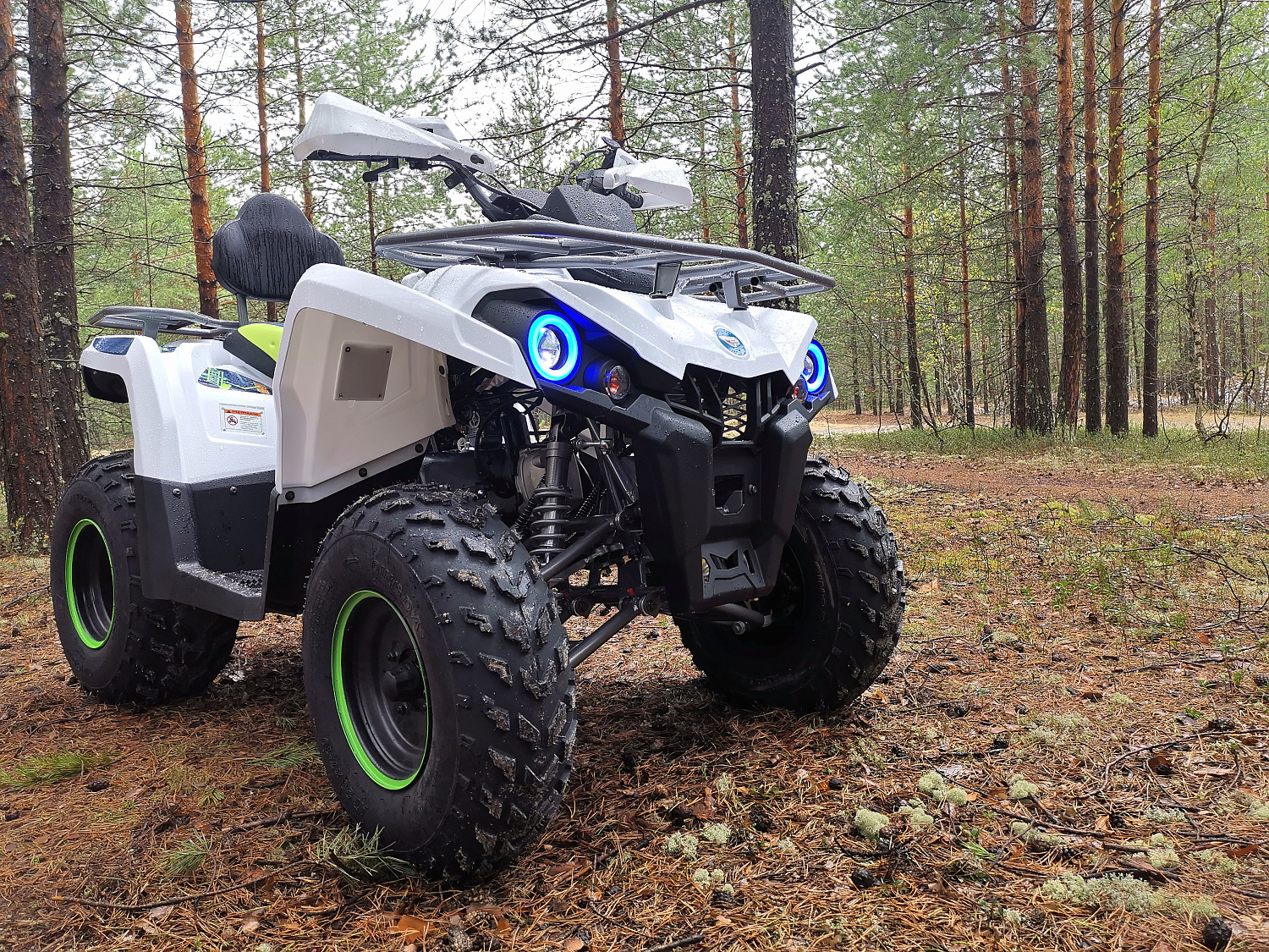 Квадроцикл PROMAX RENEGADE 280 (2025) в Иваново