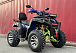  Квадроцикл PROMAX ATV 250 MAX (2025) в Иваново