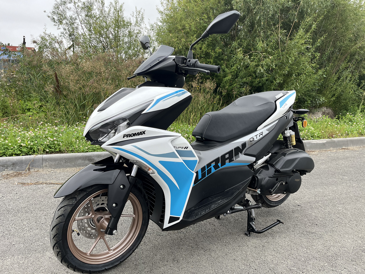 Скутер PROMAX TURAN 250 (49) в Иваново