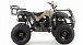 Квадроцикл MOTOLAND (МОТОЛЕНД) 200 ALL ROAD в Иваново