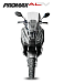 МаксиСкутер PROMAX-HONDA ADV 150 (49) EFI (Inspired by HONDA) в Иваново