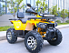 Квадроцикл MOTOLAND (МОТОЛЕНД) VOX200 WILD TRACK X PRO (баланс. вал) в Иваново