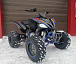 Квадроцикл PROMAX RAPTOR 300 NEW RedBull в Иваново