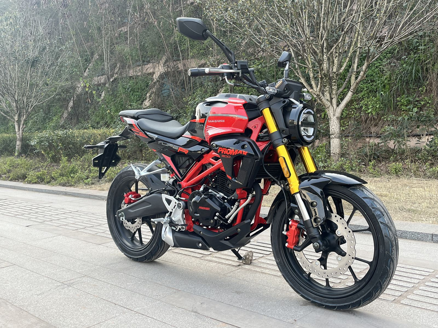 Мотоцикл PROMAX CB300 в Иваново