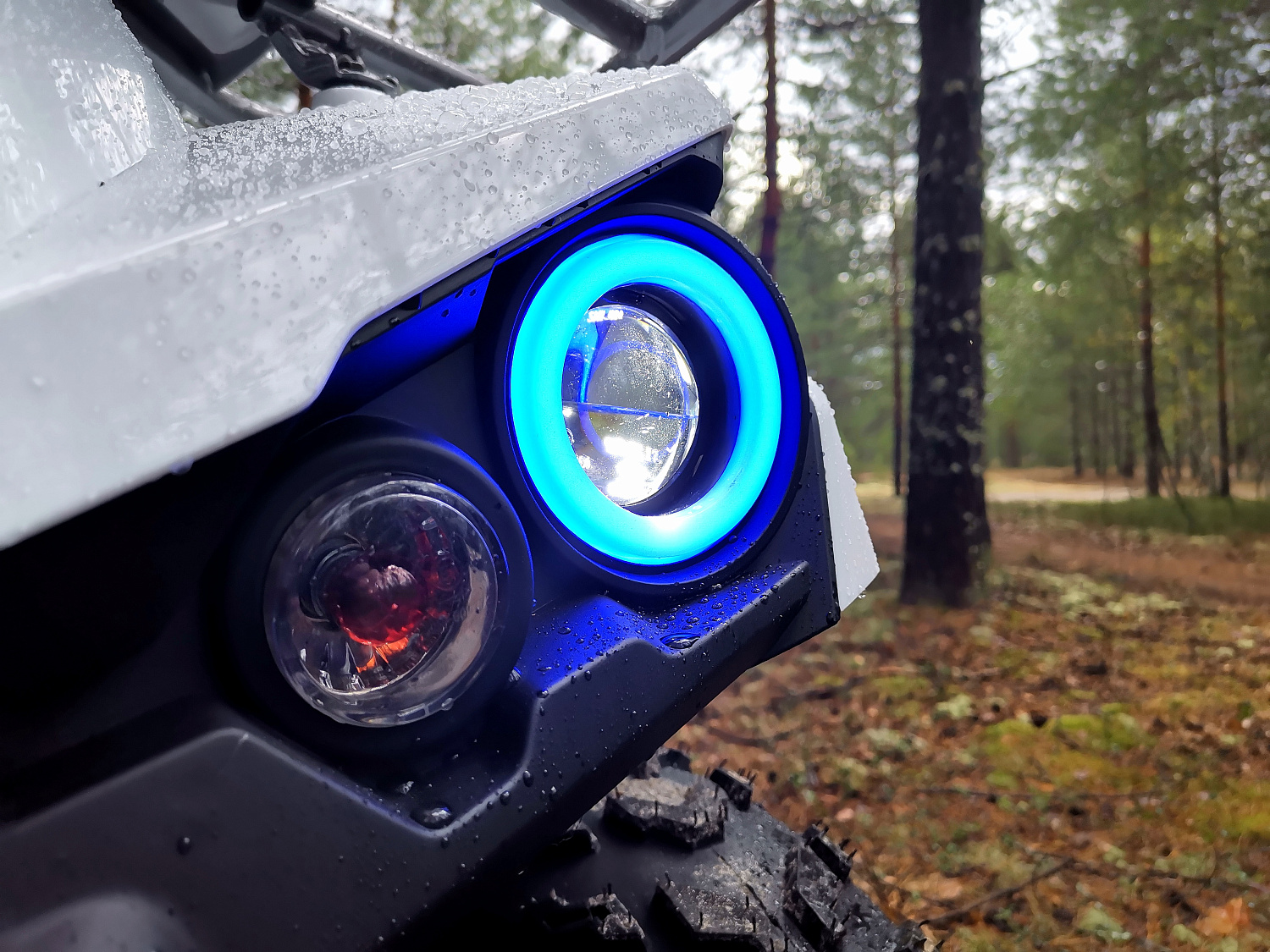 Квадроцикл PROMAX RENEGADE 280 (2025) в Иваново