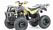 Квадроцикл MOTOLAND (МОТОЛЕНД) 250 ADVENTURE в Иваново