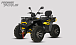 Квадроцикл PROMAX TAURUS 300 MAX-PRO LONG в Иваново